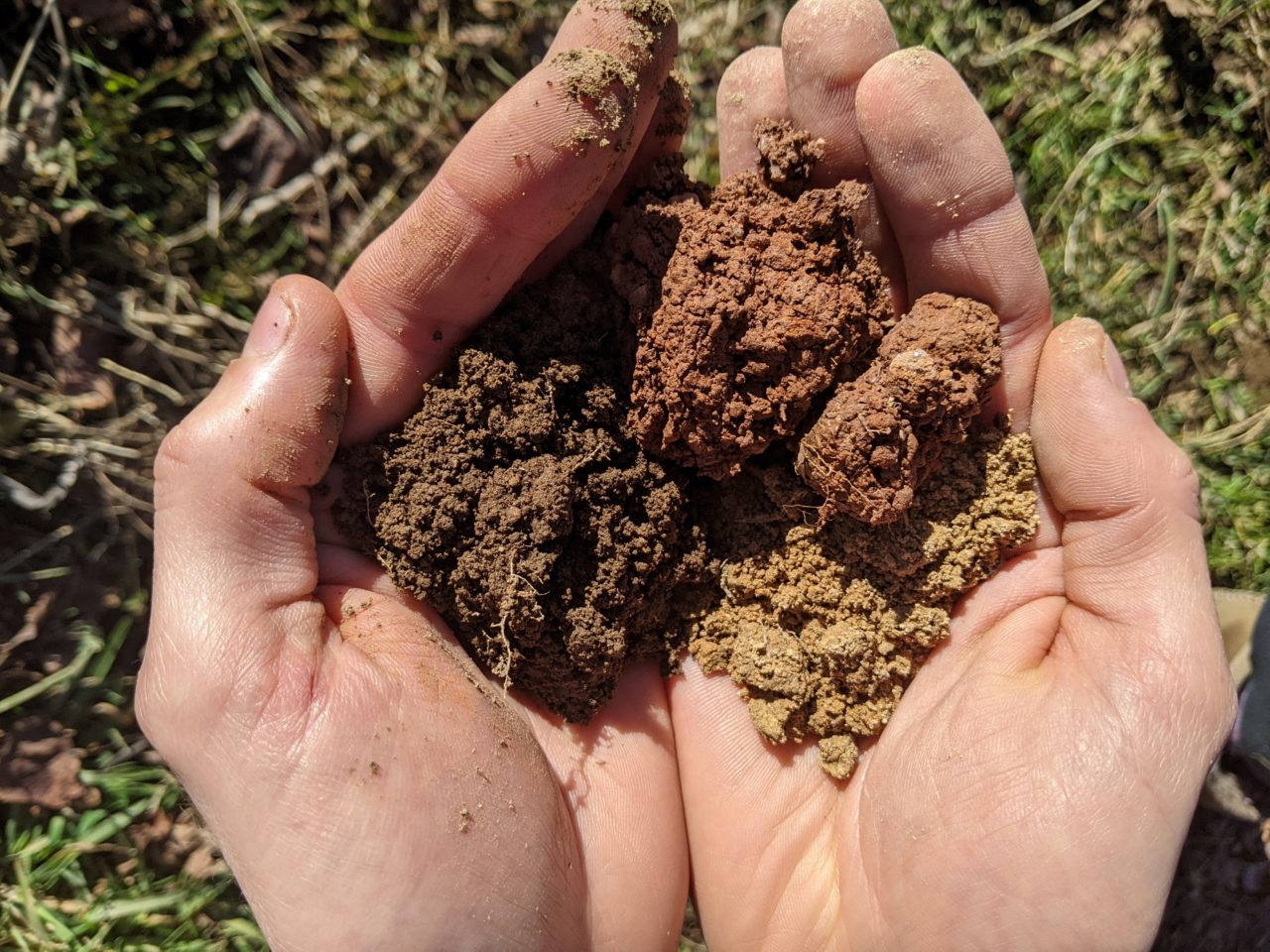 D Terminer Et Interpr Ter Son Type De Sol Terra Potager