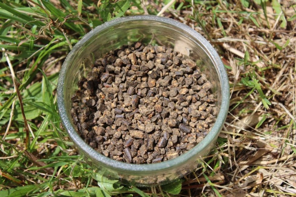 Quels sont les meilleurs engrais pour le potager ? Terra Potager — free download