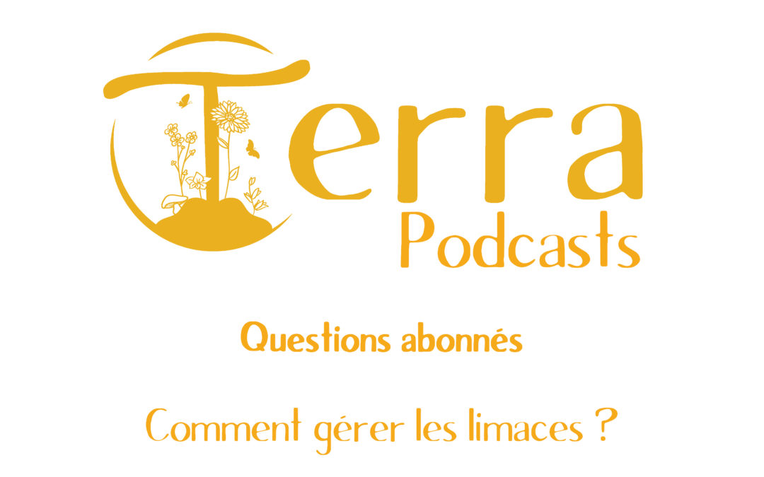 [Podcast#6] Comment gérer les limaces dans son potager ?