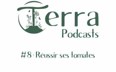 [Podcast #8] Réussir ses tomates au potager