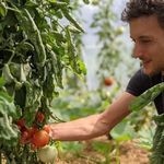Passionné d'agroécologie, de plantes potagères et fruitières, je cultive ma passion au travers du potager permacole !