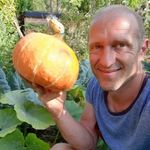 Passionné de potager et création de contenu autour de cette passion. Nourrir sa famille, nourrir son esprit, tout est dit !
