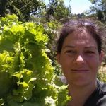 Passionnée par tout ce qui touche à la production de nourriture (potager, petits élevages, apiculture) je partage mon quotidien et l'évolution de ma micro-ferme familiale à travers mes vidéos.
