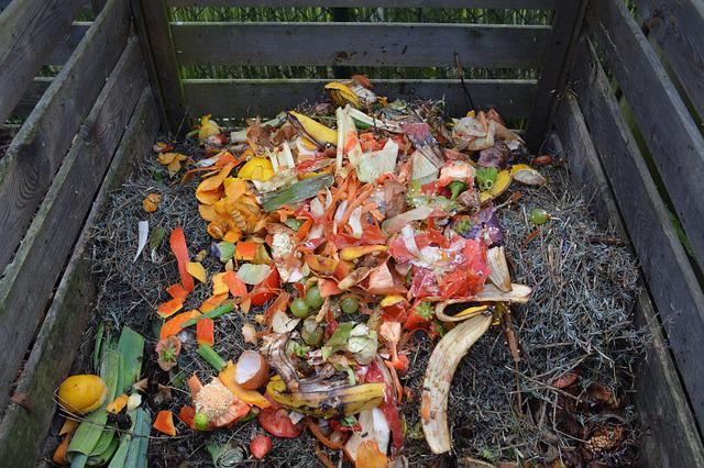déchets de cuisine compost