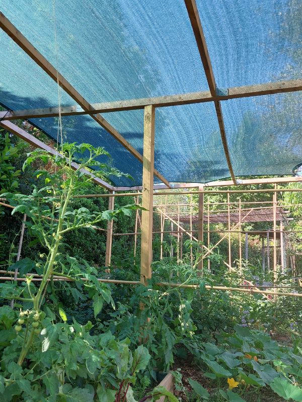 voile ombrage potager