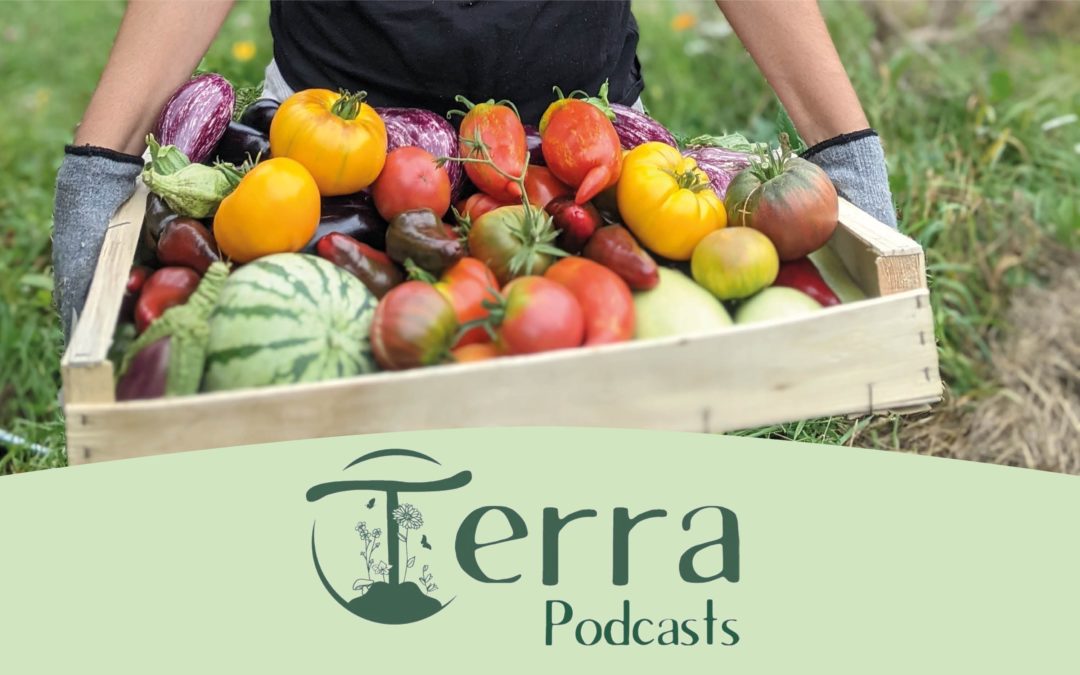 [Podcast #13] Juillet au potager