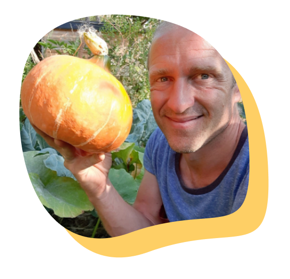 Olivier-jaune