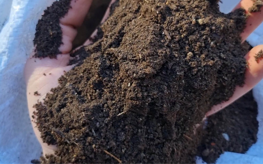 La recette pour un compost réussi
