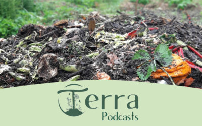 [Podcast #18] Déposer du compost à l’automne au potager