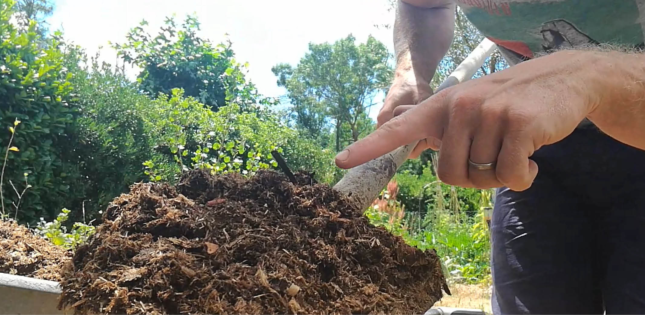 Compost : utilisations au jardin, au potager et pour les plantes