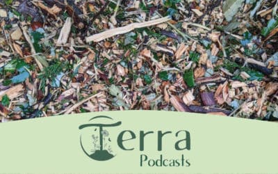 [Podcast #19] Le BRF au potager