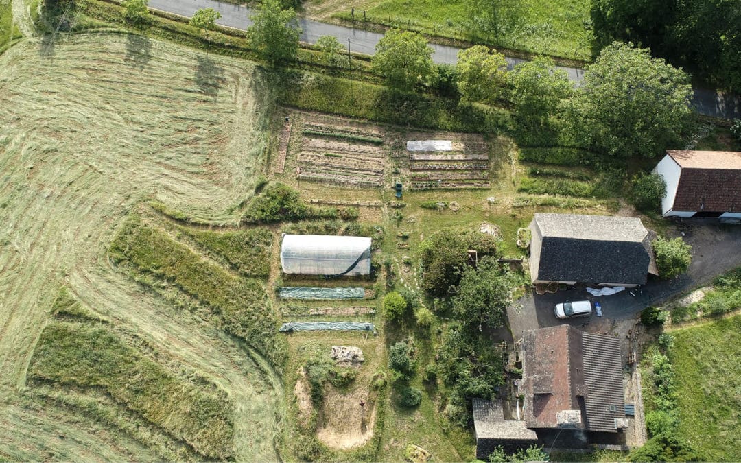 CRÉER SON POTAGER : Choisir l’emplacement du potager