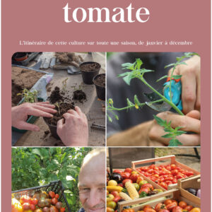 réussir la culture de la tomate