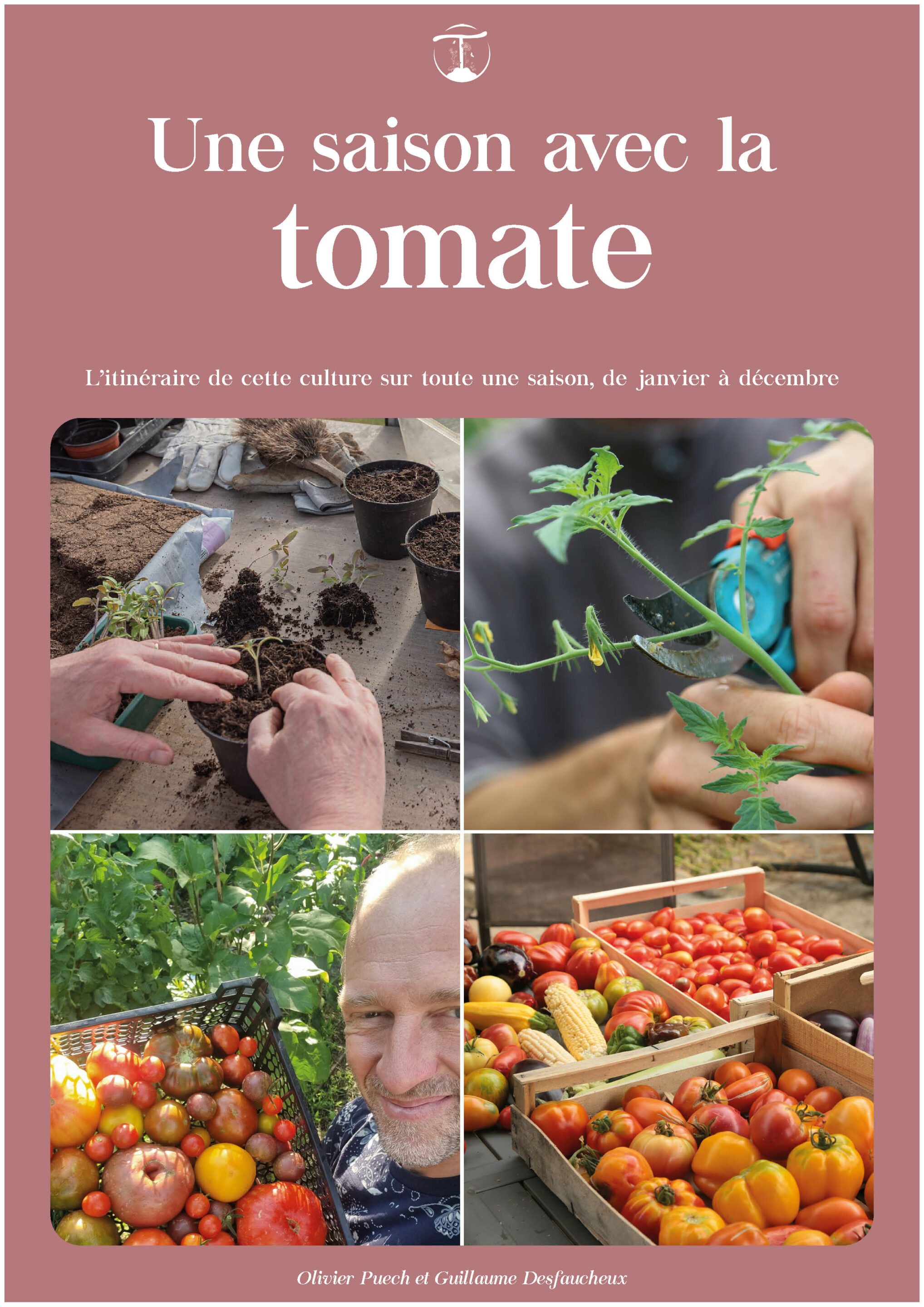 réussir la culture de la tomate